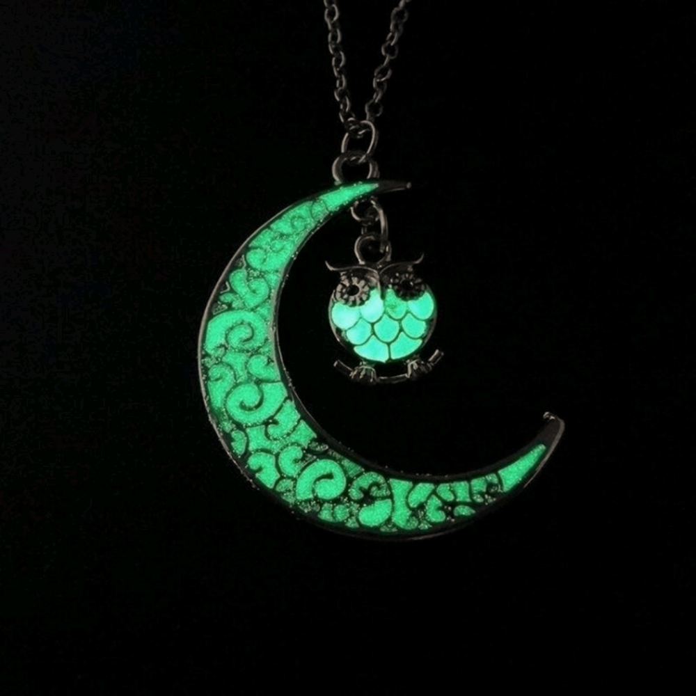 Glow in the dark owl and moon necklace